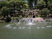 DSCN0240